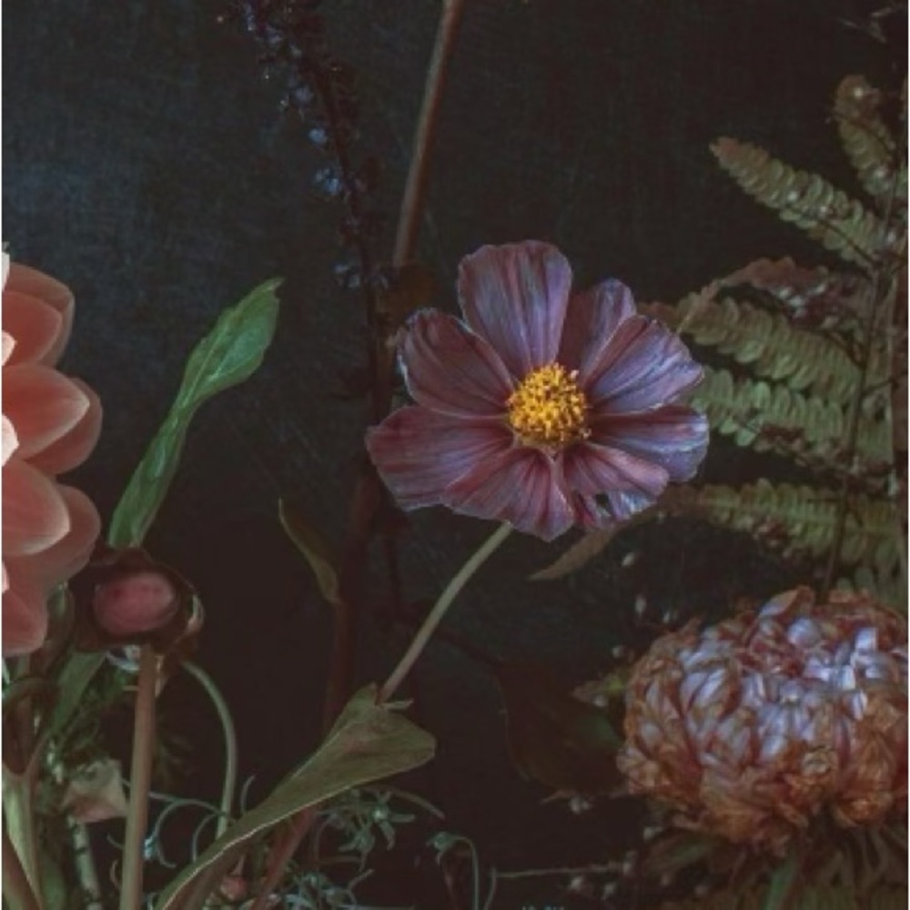 Meet your Posher, Tiyana